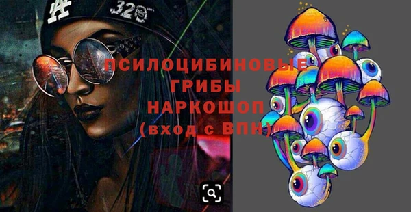 молекула духа Белокуриха