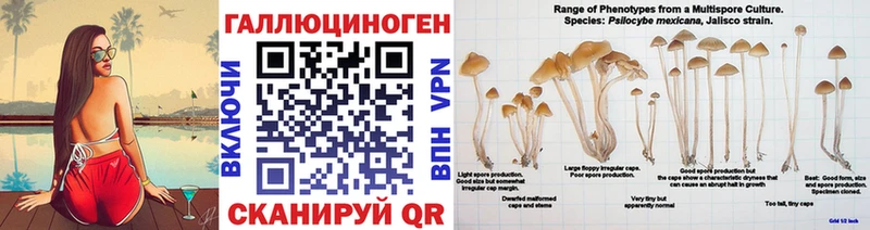 Псилоцибиновые грибы прущие грибы  Купить закладки  Слюдянка 